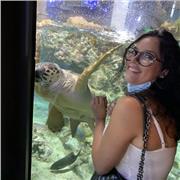 studente neodiplomata liceo scientifico con indirizzo scienze applicate offre ripetizioni in tutti i campi per studenti di elementari e medie